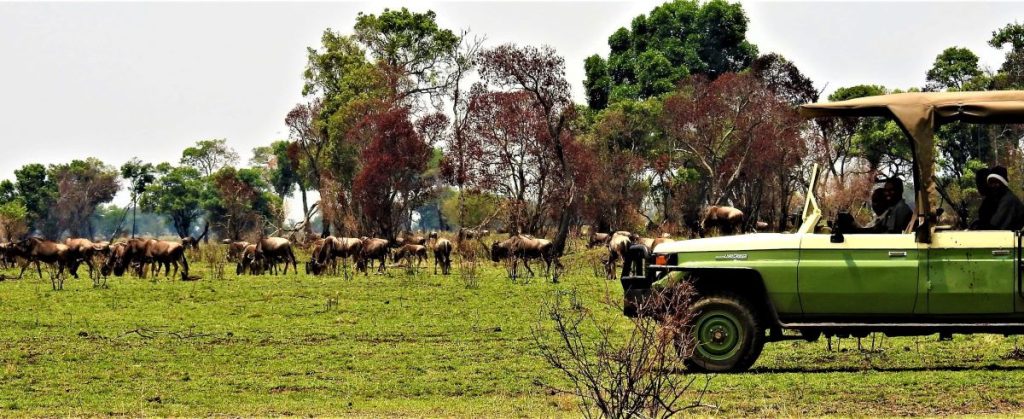 Hifadhi Za Taifa Huzungukwa Na Vijiji Zaidi Ya 10000 Katika Wilaya 70 Za Tanzania Bara Jarida 